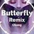 Butterfly Remix Smile