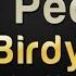 Birdy People Help The People Karaoke Version