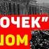 НА ЛЕКЦИИ ХОДИЛИ ГОЛЫМИ КАК ДЛЯ МЕДОВЫХ ЛОВУШЕК ГОТОВИЛИ ЛАСТОЧЕК КГБ