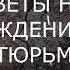 Шум от осуждения клеветы суда против вас