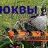 Комбайн для сбора ягод АВТОМАТИ ЧЕСКИЙ Berry Picking Harvester AUTOMATIС