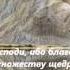 Псалом 68 Спаси меня Боже ибо воды дошли до души моей