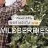 Арт 177096130 Wildberries Ель Коттеджная литая 220 см Wb находкиwildberries новыйгод