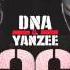 DNA Yanzee Aguanten Presion