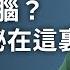 一夜 暴負 中行 原油寶 爆雷完整揭秘 朝鮮皇叔上位 金正恩專列透玄機 文昭談古論今20200427第741期