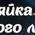 АУДИОКНИГА ХОЗЯЙКА ЗАБЫТОГО ЛЕСА ЛЮБОВНОЕ ФЭНТЕЗИ