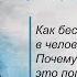 Как бесы вселяются в человека Почему Господь это попускает