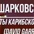 Анна Шарковская Пираты Карибского Моря David Garrett Цимбалы