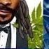 Snoop Dogg Wiz Khalifa High Christmas Ft Nate Dogg Warren G Tha Dogg Pound Remix Dj Party