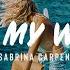 Alan Walker Sabrina Carpenter Farruko On My Way Lyrics