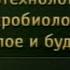 Передача 5 Строение клеток растений животных и грибов