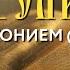 Толкование Евангелия с митр Антонием Паканичем Понедельник 7 октября 2024 года