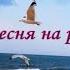 песня Туруушин дуран в исп участницы гр Серебряные нити мкр Энергетик