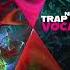 Vocal Samplepack Nightout Trap Soul Rnb