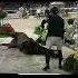 R I P Hickstead Tw Horse Dying Part 1 Of Iconic Horses That Left Us Too Early