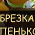 Часть 2 Что стало с деревом Абрикос через 2 года после Жёсткой обрезки до пеньков Pruning Apricot