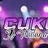 NEW THAILAND STYLE REMIX KIWKIW CUKURUKUK DJ KENT JAMES REMIX