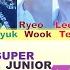 SUPER JUNIOR 슈퍼주니어 Ticky Tocky 악몽 ITA Traduzione Color Coded Lyrics HAN Rom