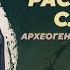 Расселение славян новое археогенетическое исследование Леонид Вязов Родина слонов 396