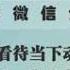 张伦 如何看待当下动荡分裂的世界 共识沙龙微信公益讲座20201122 上