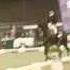 Hans Peter Minderhoud Met Lord Of Loxley GRAND PRIX ICNN Drachten 2013