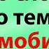 50 слов на немецком для начинающих по теме вождение автомобиля и ПДД