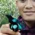 Mikat Dipinggir Kali Poin Kolibri Black Sunbird