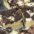 Condensed Milk Oreo Fudge Its Super Creamy Easy To Make