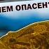 РОТАН Он же головешка травянка амурский бычок Что за рыба