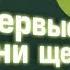 Первые дни щенка Русского тоя в новом доме