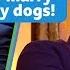 Michael McIntyre S Hilarious Dog Wedding Text Prank On Chatty Man Alan Carr Send To All