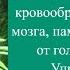 Всего 1 минута улучшит работу головного мозга память и избавит от головной боли Упражнение