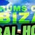 TRIBAL HOUSE ESSENTIAL HITS SUMMER 2023 Playlist