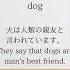 Today S Kanji Is 動物 Animal Do You Know What It Means Learn A New Kanji Every Day