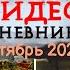 ВИДЕОДНЕВНИК цветовода Октябрь 2024