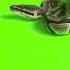 Free Green Screen Snake Bite Ricospassmusic Freeuse Freegreenscreen Greenscreeneffects