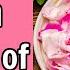 Top 5 Health Benefits Of Rose Petals