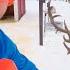 Blippi Visits A Reindeer Farm Learn Animals For Kids Fun And Educational Videos For Toddlers