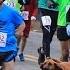 Dog Accidently Joins Half Marathon Finishes Race In 7th Place