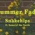 Snakehips Summer Fade Lyric Video Ft Anna Of The North