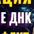 МЕДИТАЦИЯ НА ГЛУБОКОМ КЛЕТОЧНОМ УРОВНЕ Исцеление ДНК Человека Активация Божественного Кода