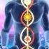 528Hz Whole Body Regeneration Full Body Healing Emotional Physical Healing