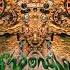 Shpongle Codex VI Album ᴴᴰ