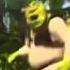 Shrek Oh Hello There