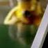 Mr Oizo Flat Beat Official Video With Flat Eric 1999 F Communications Ft Jonas Jessen Made