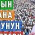 Садыбакас ажы Доолов Айт намазы кантип окулат жана айт намазга баруунун сүннөт важиптери