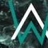 Alan Walker The Spectre Feat Danny Shah