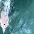 Dolphins Race Alongside Boat