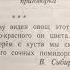 Сразу виден овощ этот В Сибирцев