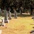 FAMOUS GRAVE TOUR Viewers Special 12 Regis Philbin Jim Varney Etc